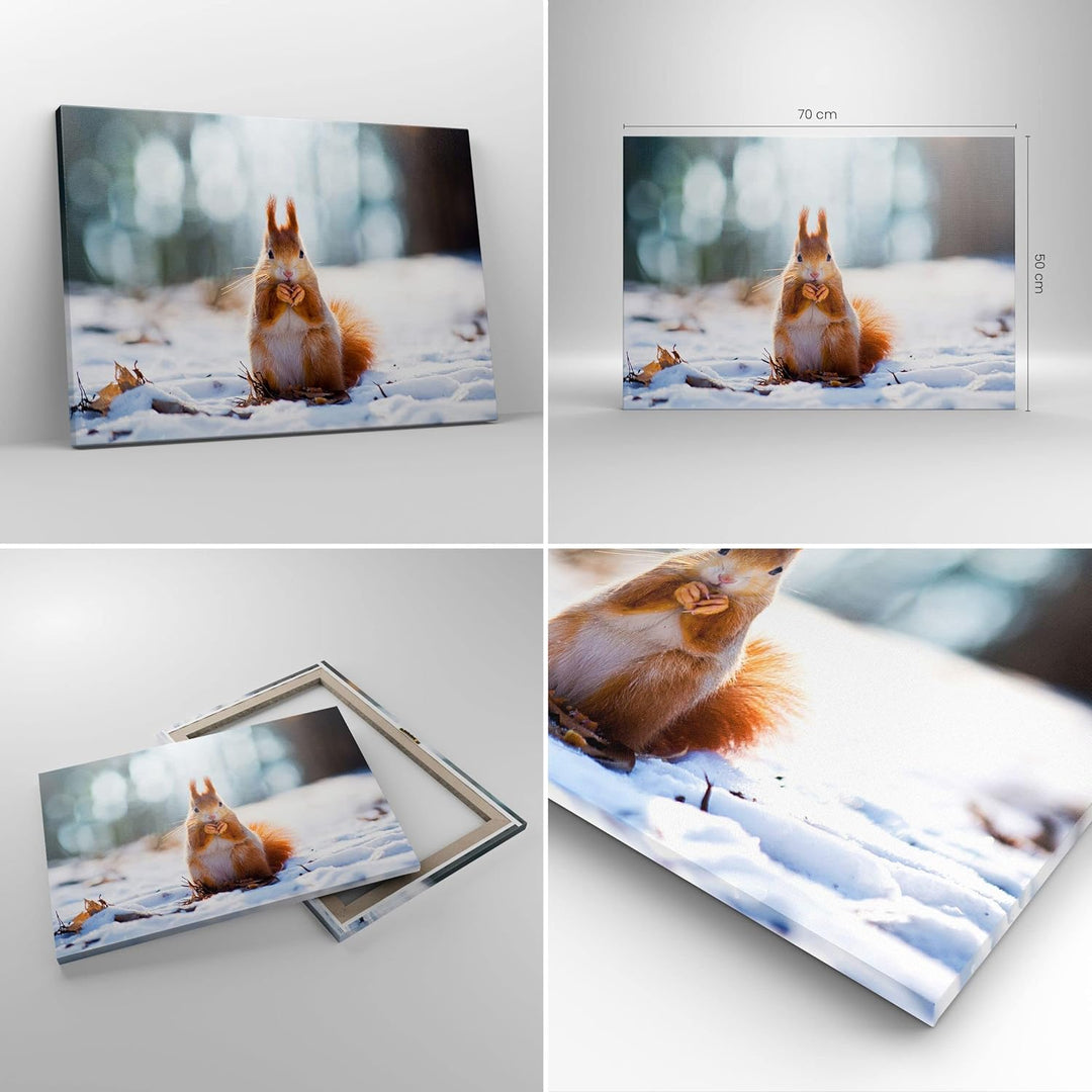 Bilder auf Leinwand Eichhörnchen Winter Schnee Essen Leinwandbild 70x50cm Wandbilder Dekoration Wohn