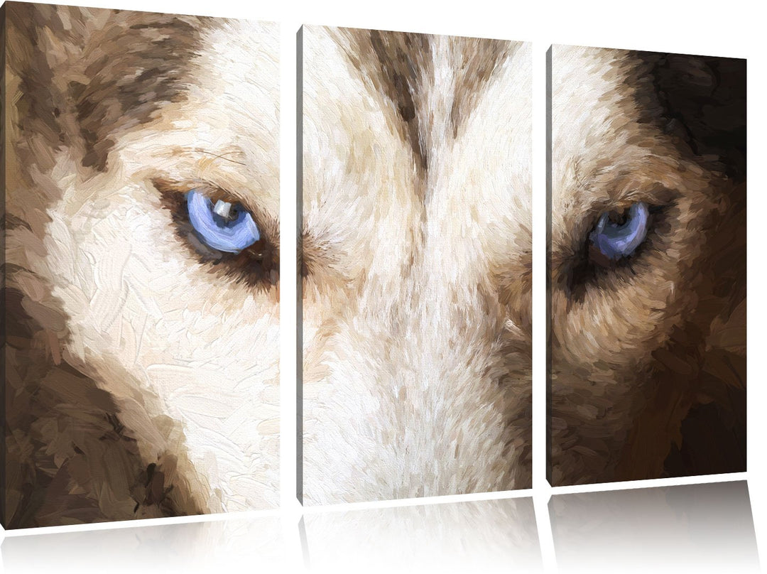 Pixxprint Husky mit eisblauen Augen als Leinwandbild/Grösse: 3 Teilig (120x80) cm/Wandbild/Kunstdruc