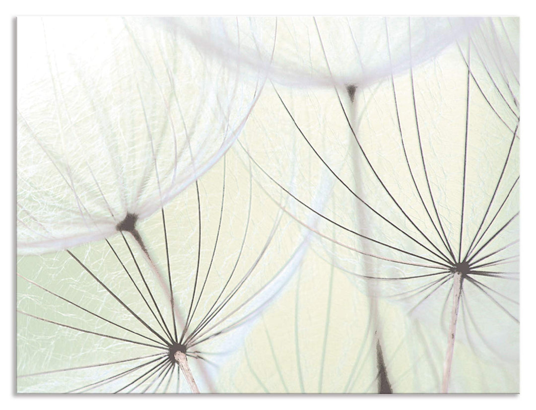 ARTland Spritzschutz Küche aus Alu für Herd Spüle 80x60 cm (BxH) Küchenrückwand mit Motiv Blume Pust