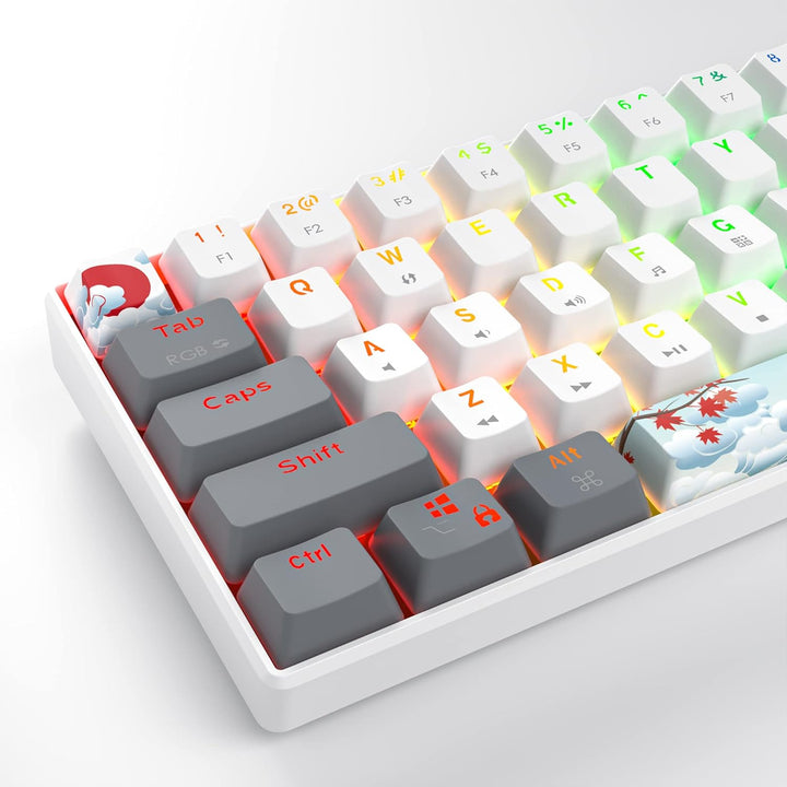 SOLIDEE Tragbare 60% mechanische Gaming-Tastatur,61 Tasten kompakte RGB LED-Hintergrundbeleuchtung,k