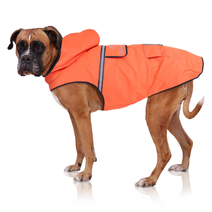 Bella & Balu Hunderegenmantel wasserdicht mit Kapuze und Reflektoren für sichere Gassigänge, Hundesp