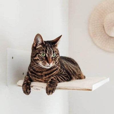 LucyBalu® Wandliege für Katzen | Katzenbett für die Wand | Katzen Wand Liegeplatz | Katzen Wandbett