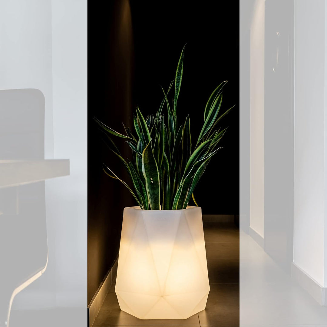 Monumo®️ Leuchtender Blumentopf Gross 54 cm x 47 cm x 47 cm | geeignet für Haus, Büro, Garten, Patio