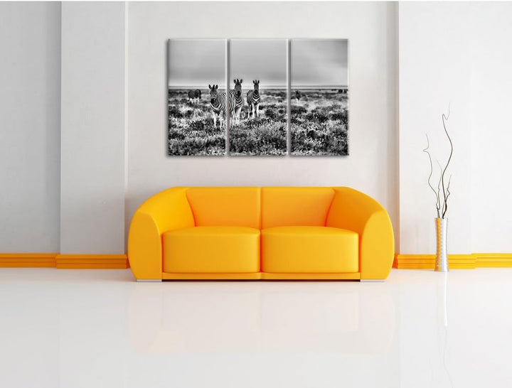 Pixxprint Zebra in der Savanne als Leinwandbild/Grösse: 3 Teilig (120x80) cm/Wandbild/Kunstdruck/fer