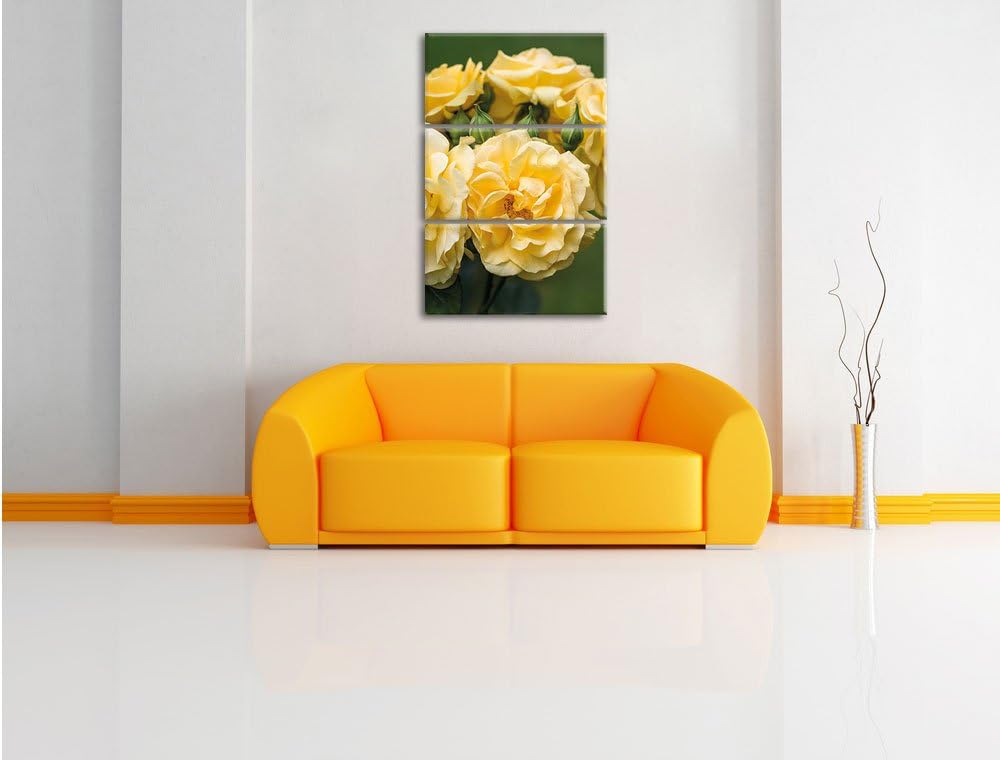 Pixxprint Pfingstrosen als Leinwandbild/Grösse: 3 Teilig (120x80) cm/Wandbild/Kunstdruck/fertig besp