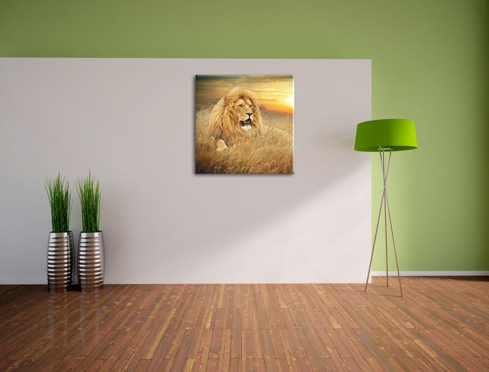 Pixxprint mächtiger Löwe, Format: 70x70 auf Leinwand, XXL riesige Bilder fertig gerahmt mit Keilrahm