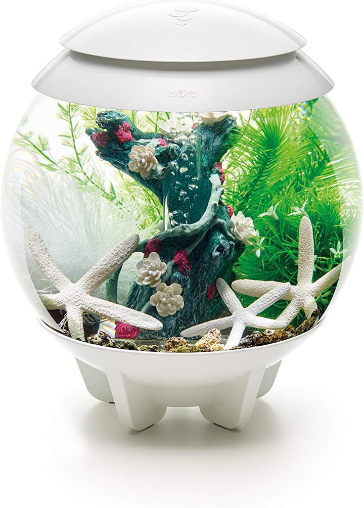 biOrb 48443 Decor Set 15L Flower Garden Flower Garden 15 Liter, Flower Garden 15 Liter