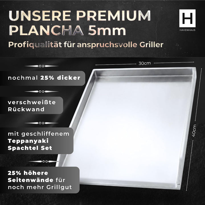 𝗛𝗔𝗩𝗘𝗡𝗛𝗔𝗨𝗦 Premium Plancha Grillplatte 5mm Edelstahl [40x30cm] I Massive Grillplatte 5mm mit geschlos