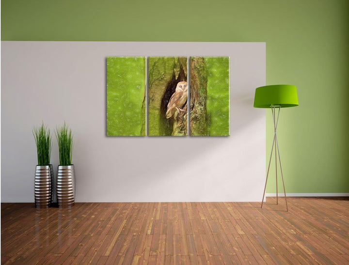 Pixxprint Schleiereule Baumhöhle als Leinwandbild/Grösse: 3 Teilig (120x80 cm) cm/Wandbild/Kunstdruc