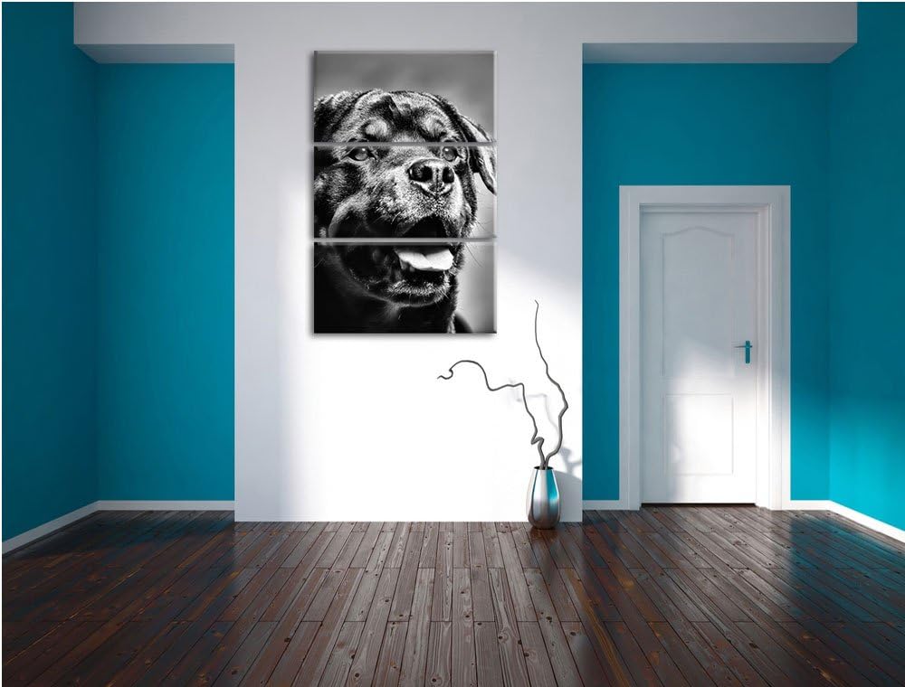 Pixxprint Treuer Rottweiler als Leinwandbild | Grösse: 3 Teilig (120x80) | Wandbild| Kunstdruck | fe