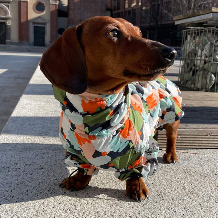 Croci Hiking Regenmantel für Hunde, tragbar, Go Harlequin, Grösse 25 cm - 151 g, 25 cm