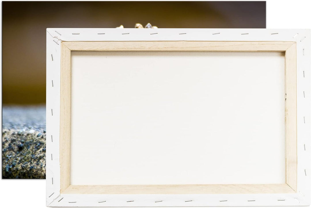 deyoli kleine Tannenzapfen im Format: 80x60 als Leinwandbild, Motiv fertig gerahmt auf Echtholzrahme