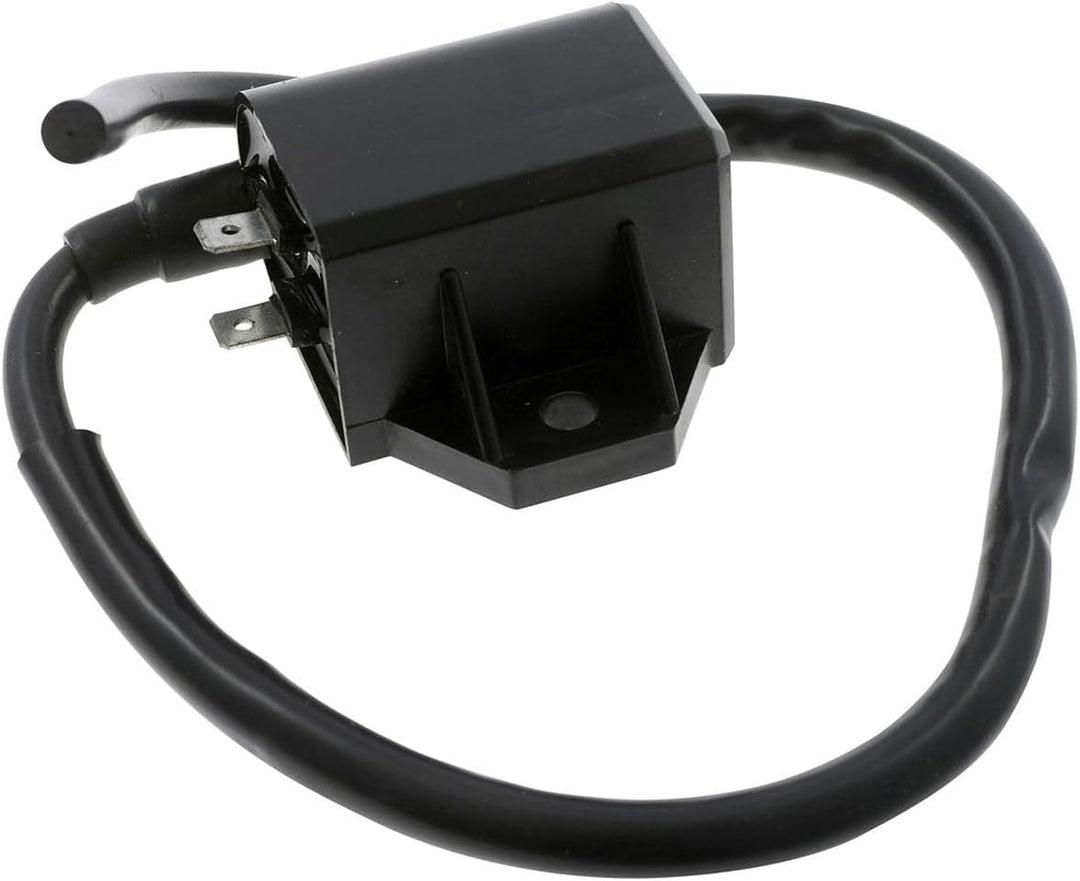 2EXTREME CDI/Zündspule 12V kompatibel für Suzuki AP50, ITALJET Formula 50 AC, DERBI Vamos 50, APRILI