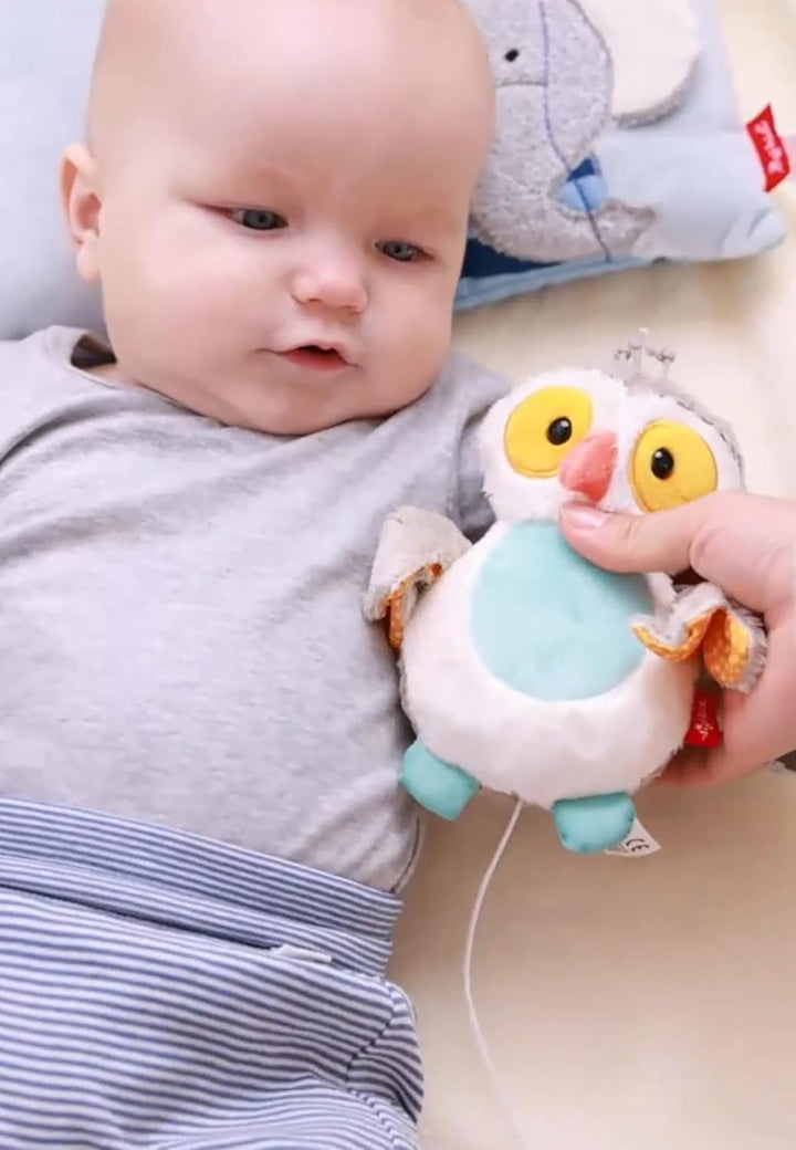 SIGIKID 42545 Mini-Spieluhr Eule mit Harry Potter Melodie Musik Mädchen und Jungen Babyspielzeug emp