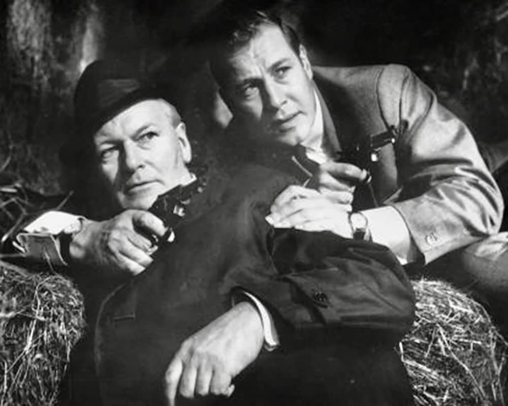 Bryan Edgar Wallace - Collection / 9 spannende Gruselkrimis mit Starbesetzung [9 DVDs], DVD