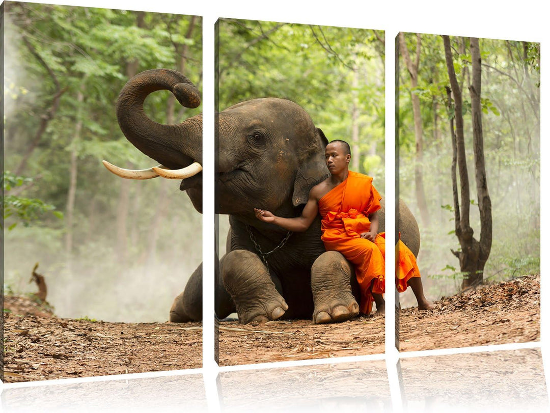 Pixxprint Mönch Elefanten Wald als Leinwandbild - Grösse: 3-Teilig (120x80cm) - Wandbild - Kunstdruc
