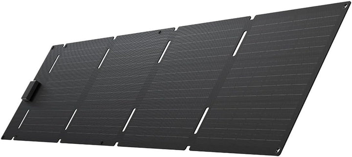 EcoFlow 60W Portable Solar Panel Type C