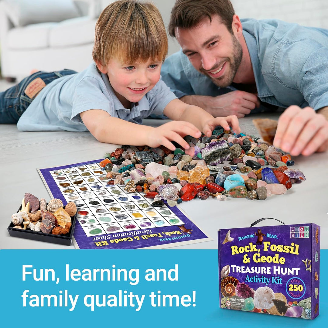 Dancing Bear's Rocks and Minerals Rock & Mineral Collection Kit mit 2 Easy Pause Geodes Activity Kit