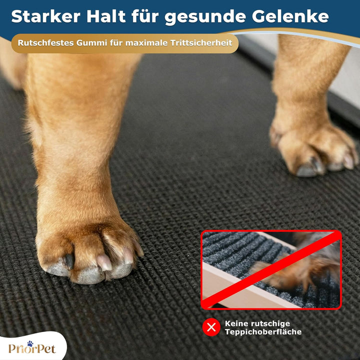 Hunderampe - Hundetreppe für kleine Hunde und grosse Hunde - Einstellbar 18-53 cm - Für Bett Sofa -