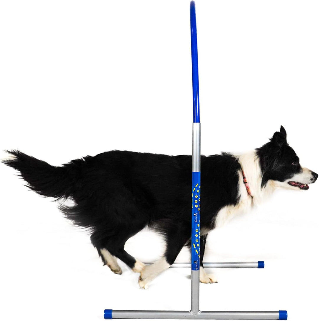 6 x Hoopers Agility Hoops - NADAC Hoopers Agility Hoops (Grosspackung) ALU Hoops (ohne Mittelstrebe)