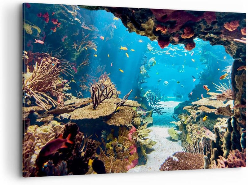 Bilder auf Leinwand 100x70cm Leinwandbild Ozean Riff Fische Koralle Gross Wanddeko Bild Schlafzimmer