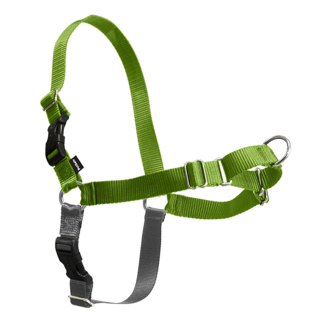 PetSafe Easy Walk Hundegeschirr Apfelgrün/Grau Small, Apfelgrün/Grau Small