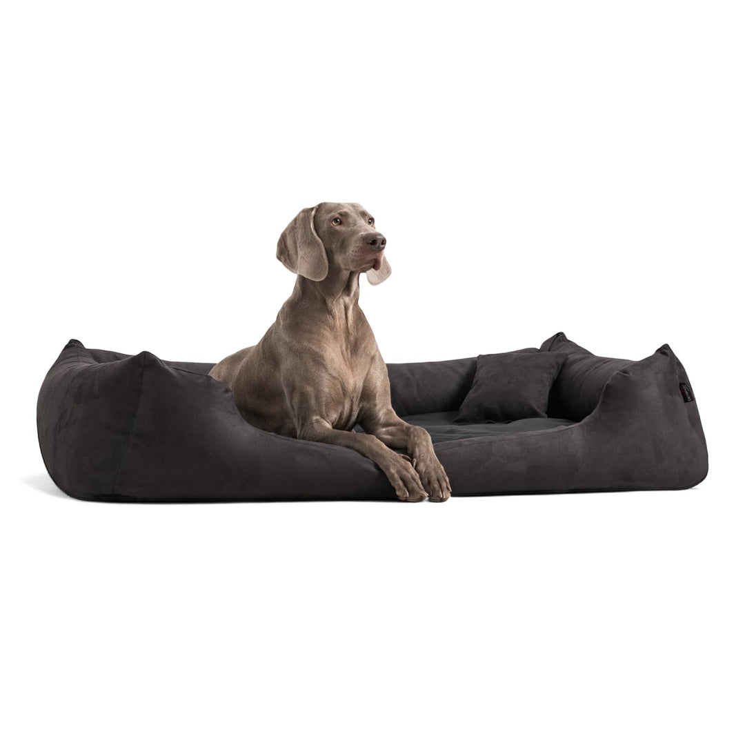 tierlando® Orthopädisches Hundebett Pluto Ortho VISCO Viscoschaum aus weichem Velours Grösse: PLV3 9