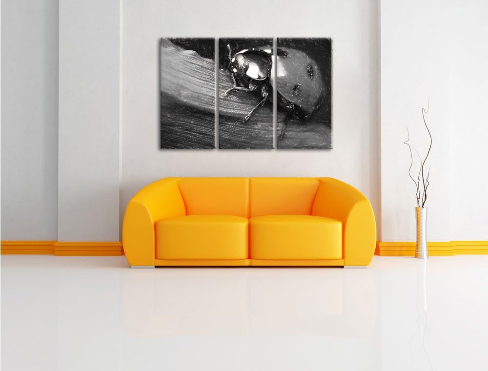 Pixxprint Marienkäfer in Detailaufnahme Kunst Kohle Effekt 3-Teiler Leinwandbild 120x80 Bild auf Lei