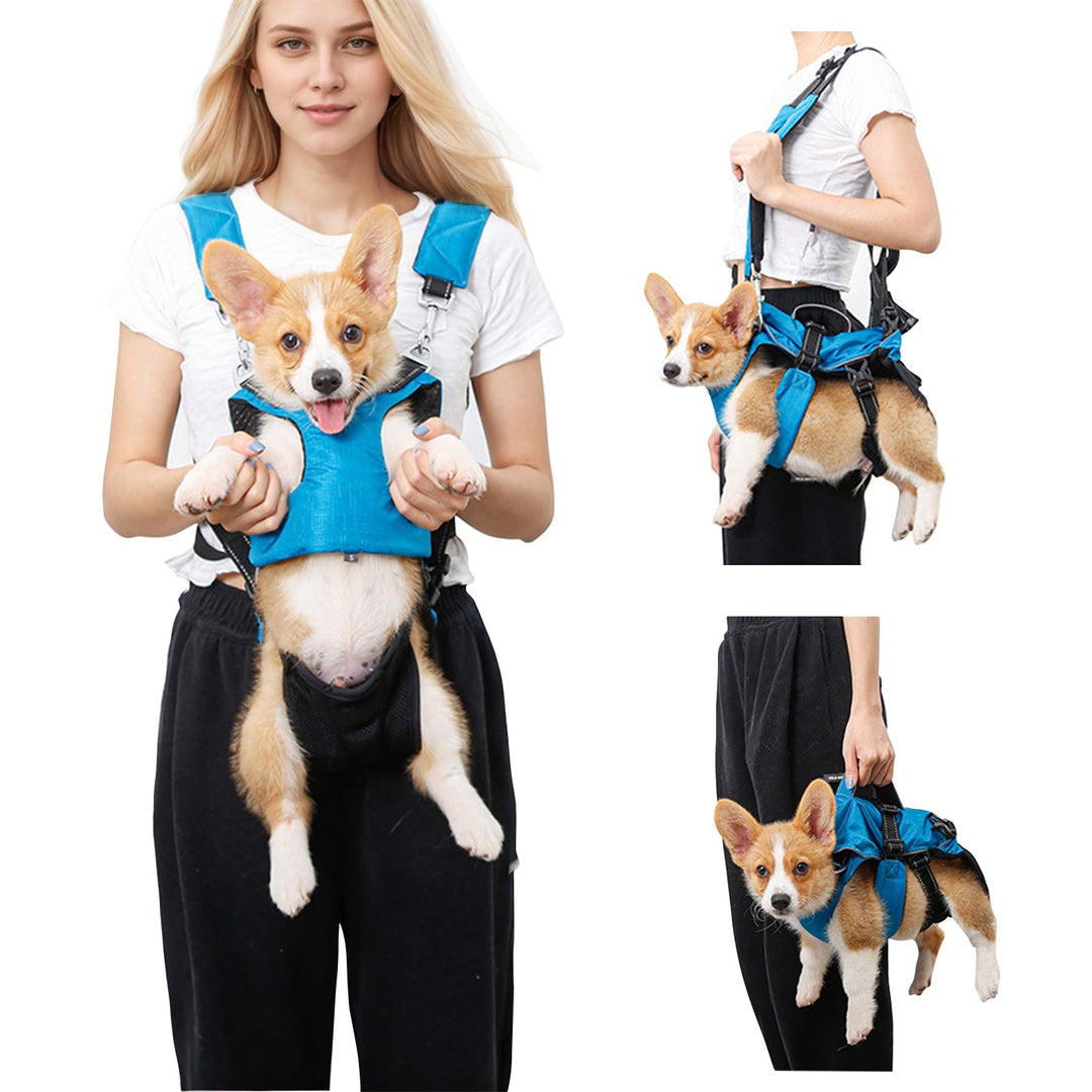 PETCUTE Haustier Rucksack Hundetragetasche,Verstellbare Brust Hunderucksack für Klein Hunde Katzen,T