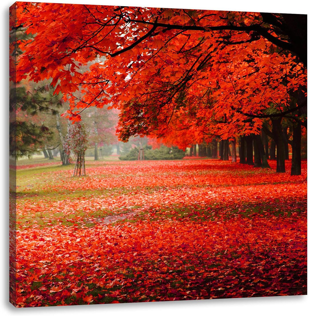 Pixxprint Rot gefärbter Park im Herbst, Format: 70x70 auf Leinwand, 70x70