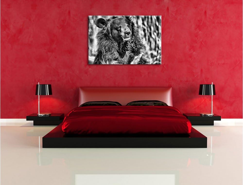 Pixxprint Nasser Malaien Bär als Leinwandbild/Grösse: 100x70 / Wandbild/Kunstdruck/fertig bespannt,