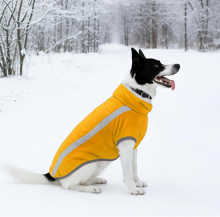 Hundejacke Wasserdichter Hundemantel Reflektierende Wintermantel mit Fleecefutter Winddichtes Winter
