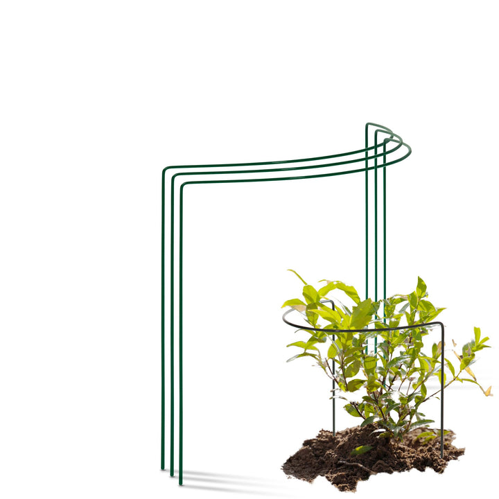 Novatool 3 Strauchstütze Metall halbrund 40 cm Ø35 cm hoch grün Staudenhalter Blumenhalter Rankengew