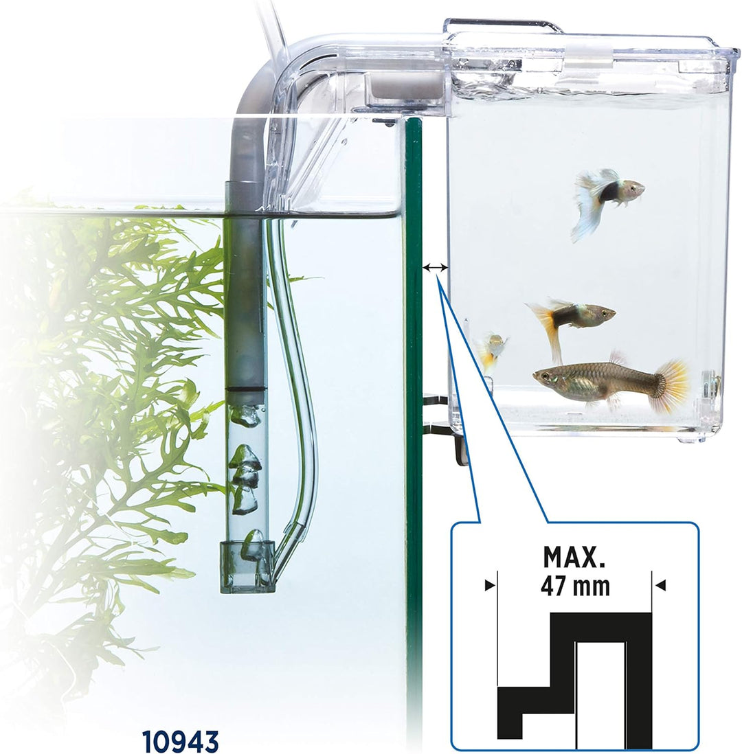 Fluval Hang-On Aufzuchtbecken L, mit 1,9L Fassungsvermögen, für Fische, fürs Aquarium 1,9 L, 1,9 L