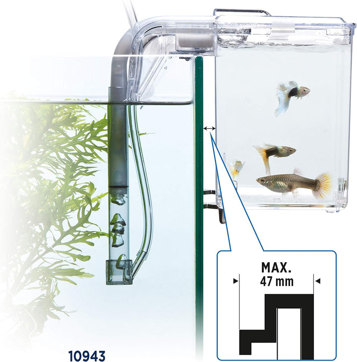 Fluval Hang-On Aufzuchtbecken L, mit 1,9L Fassungsvermögen, für Fische, fürs Aquarium 1,9 L, 1,9 L