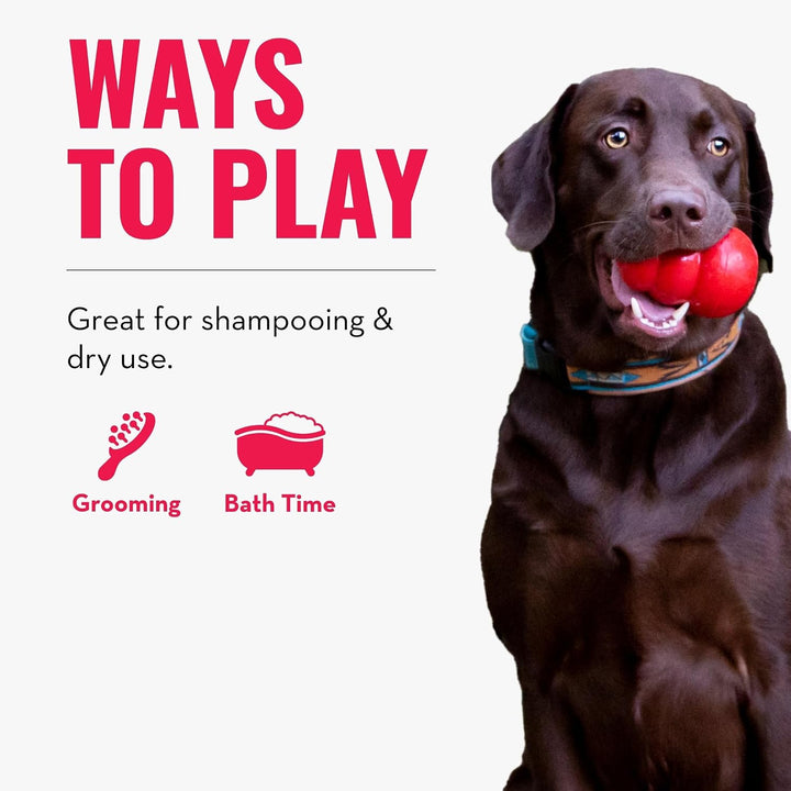 KONG – ZoomGroom – Bürste zur Hundepflege und zum Shampoonieren – Für Grosse Hunde (Rot) Rot Standar
