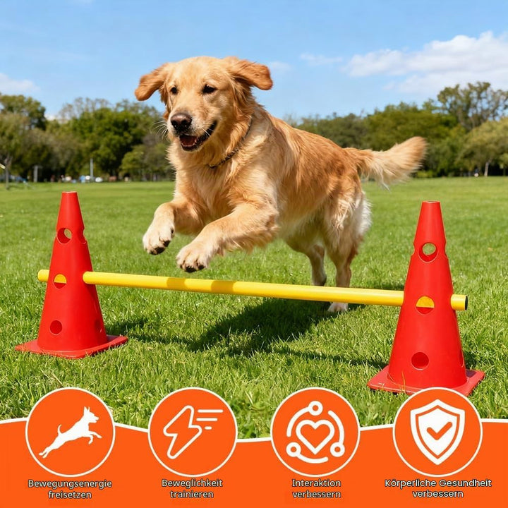 Steckhürdenset, Agility Set Hunde mit 8 Kegel(32cm) + 4 Stangen(80cm), Cavaletti Hund für Koordinati