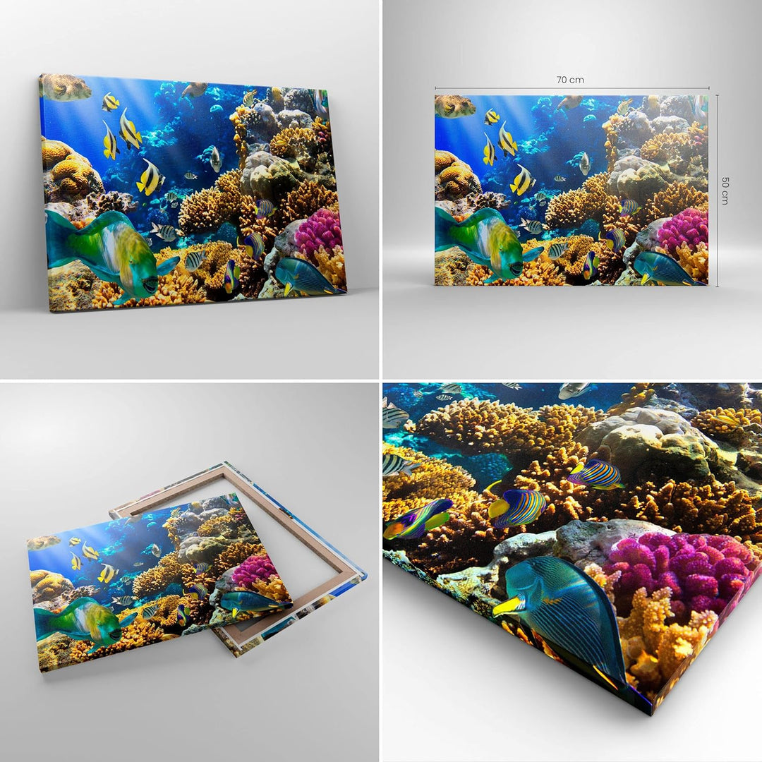 Bilder auf Leinwand Korallenriff Ozean Krabbe Fisch Leinwandbild 70x50cm Wandbilder Dekoration Wohnz