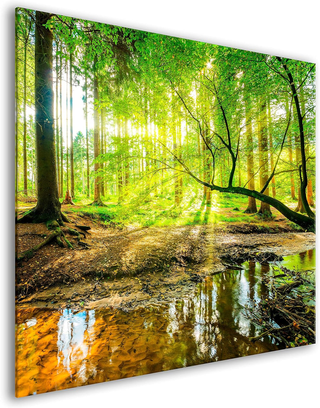 murando Spritzschutz Glas für Küche 60x60 cm Küchenrückwand Küchenspritzschutz Fliesenschutz Glasbil