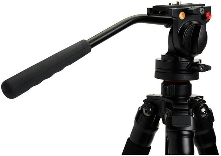 Celestron 82052 Regal Premium Stativ, Schwarz Regal Premium Stativ Einzeln, Regal Premium Stativ Ein