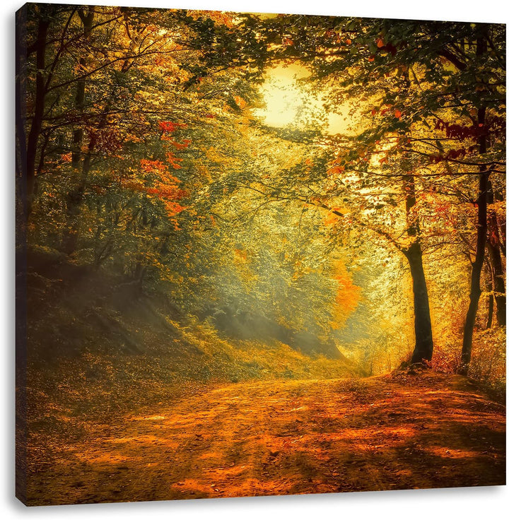 Pixxprint Wald, Format: 70x70 auf Leinwand, XXL riesige Bilder fertig gerahmt mit Keilrahmen, Kunstd
