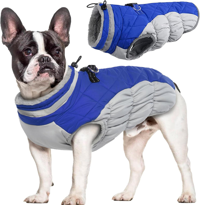 Hjumarayan Hundemantel für Kleine Hunde - Hundemantel Winter Hundemantel mit Geschirr Wintermantel H