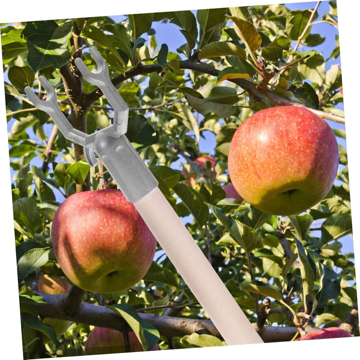 Yardwe 30 STK Abzweigstecker Baumpfähle Baumhalter Baum Steht Pfähle Für Pflanzen Gartenzubehör Baum
