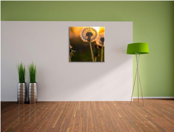 Pixxprint Pusteblume, Format: 70x70 auf Leinwand, XXL riesige Bilder fertig gerahmt mit Keilrahmen,