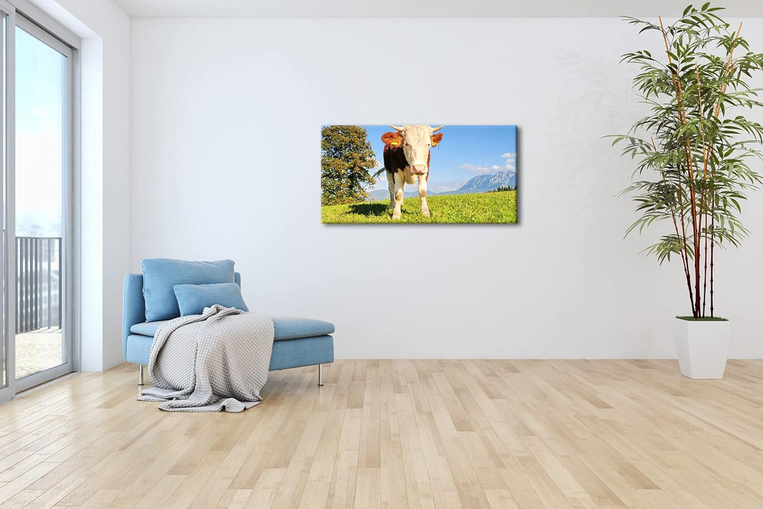 edle Kuh auf der Weide Panorama 80x40 cm als Leinwandbild, Motiv fertig gerahmt auf Echtholzrahmen,