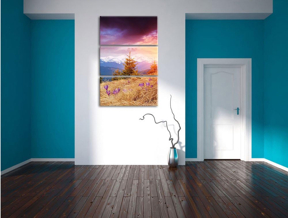Pixxprint Krokusse auf Hochalmwiese in Alpen 3-Teiler Leinwandbild 120x80 Bild auf Leinwand