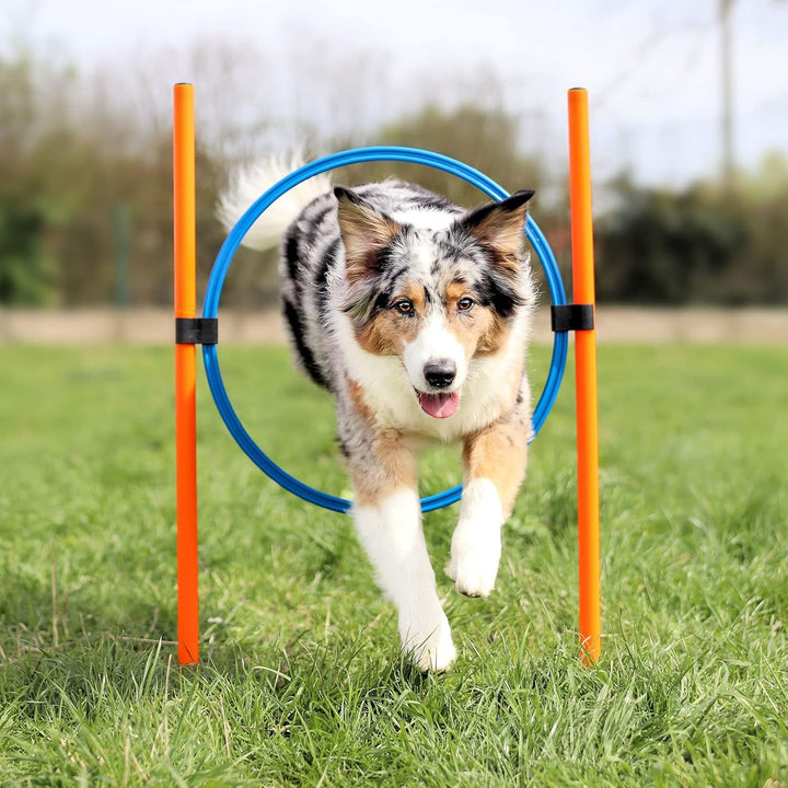 Agility Dog Trainings Set X Tunnel-Sprungring-Hürden-Slalom-Stangen für Hunde