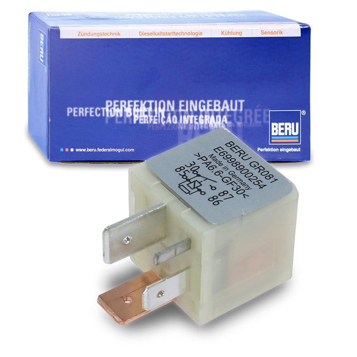 BERU GR081 Zünd und Glühanlagen