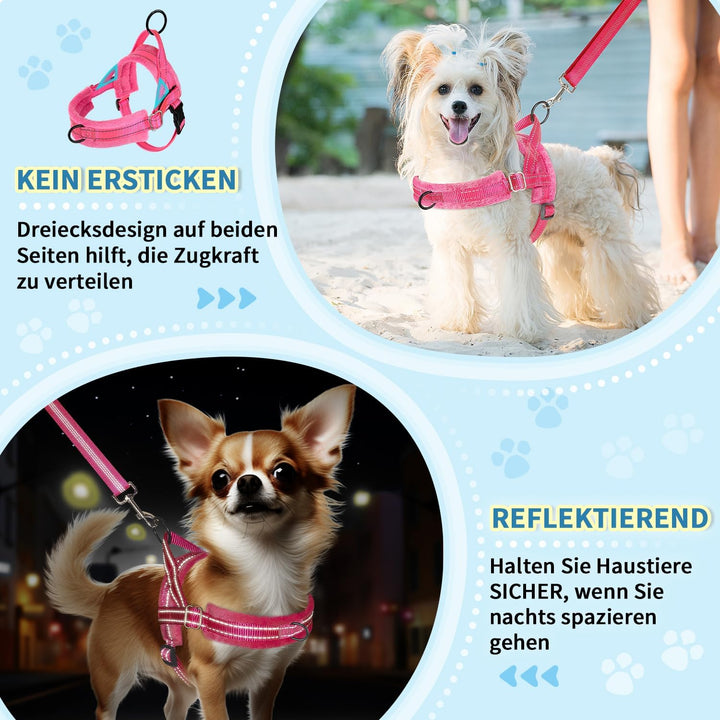 Hundegeschirr mit Leine für mittelgrosse Kleine Hunde, Weich gepolsterter No-Pull Brustgeschirr mit