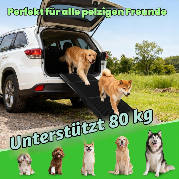 Nobleza - Hunderampe Auto klappbar 170cm, Klappbare Hunderampe mit Anti-Rutsch-Oberfläche, Hunderamp